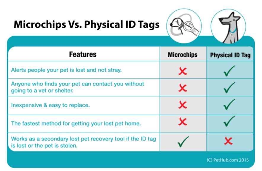 Infographic of the difference between microchips and physical pet IDs