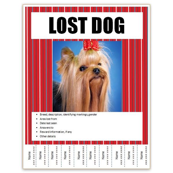 printable lost dog flyers