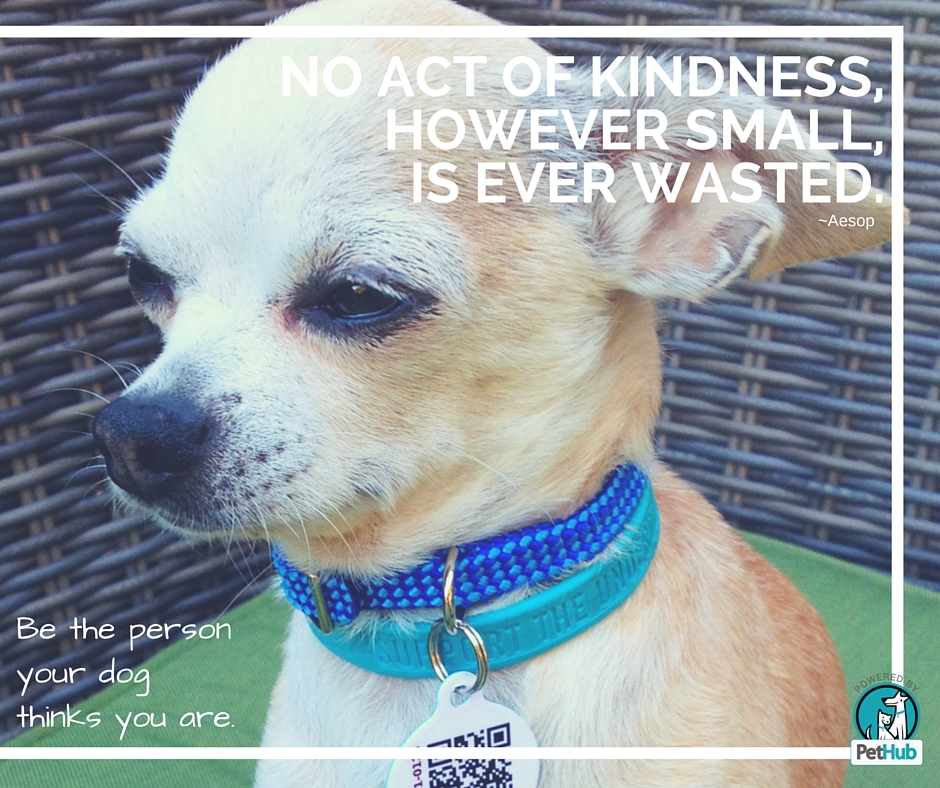 no act of kindness, however small, is ever wasted.