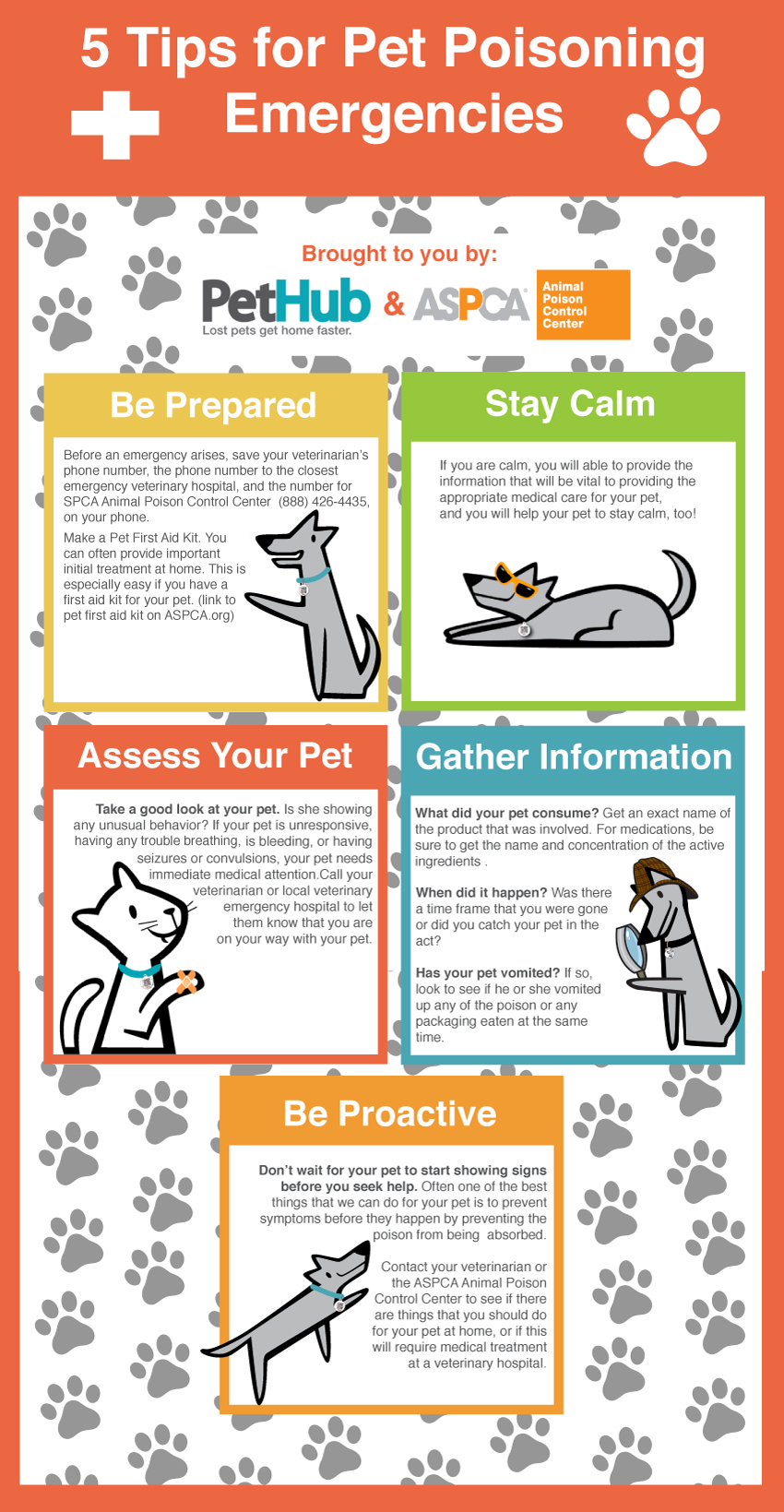 5 Tips For Pet Poisoning Emergencies Pethub