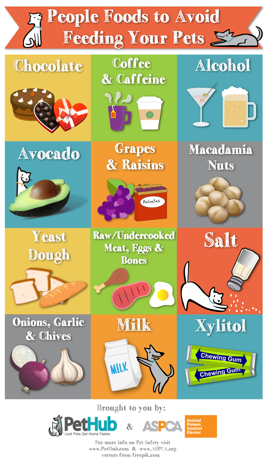 Planting Guide Fridge Magnet (A4 Size)