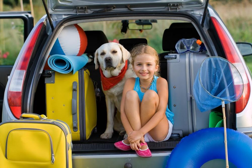 White lab and young girl sitting with luggage in trunk of car on vacation