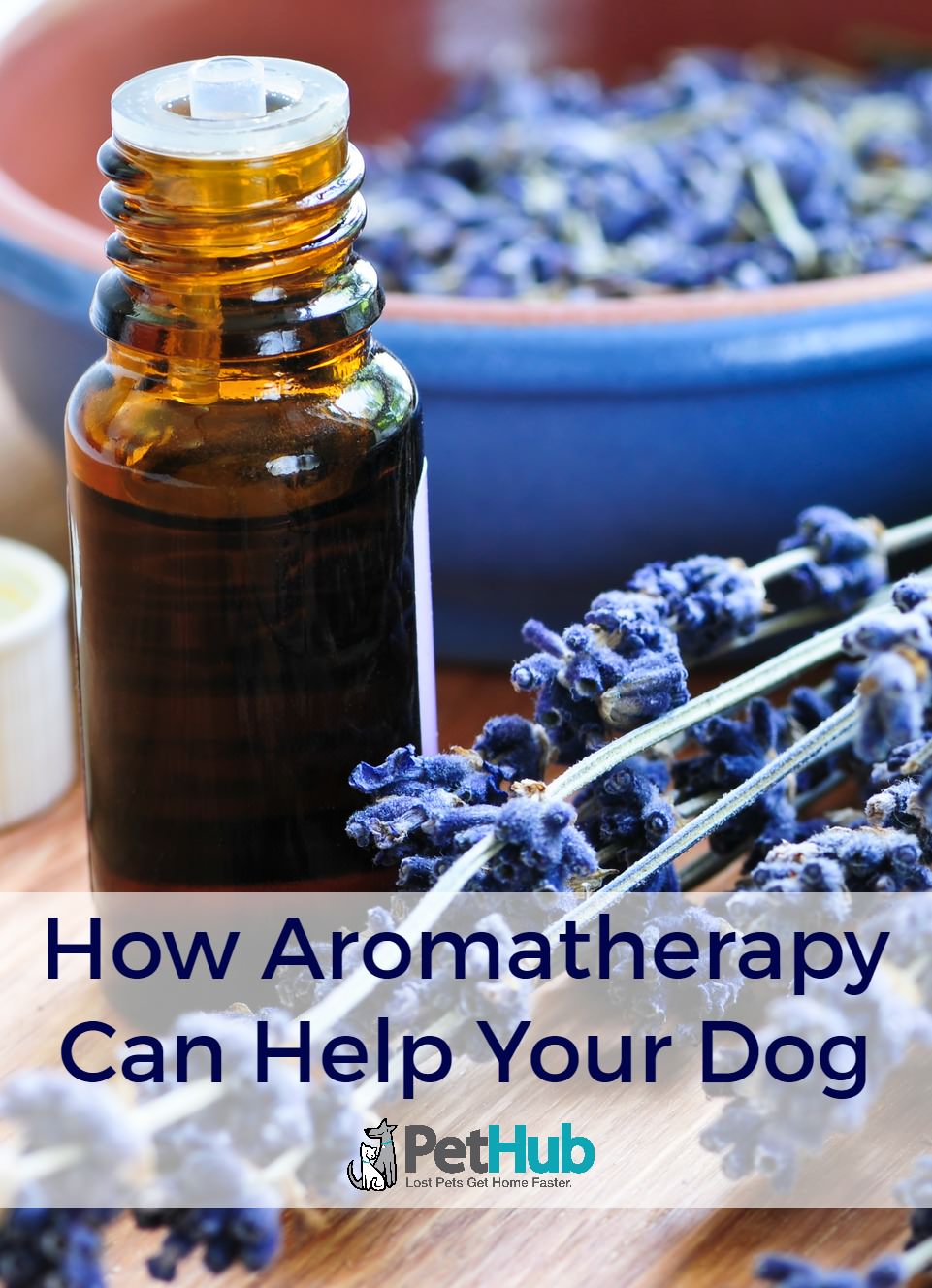 Image of essential oil with text 'How Aromatherapy Can Help Your Dog'