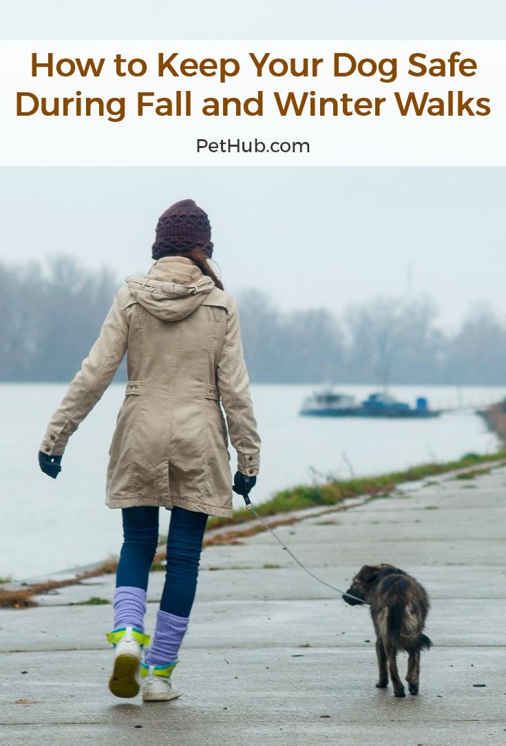 woman walking dog on a cold moist day