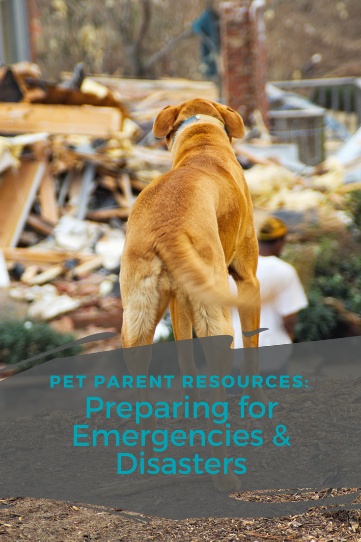 Resources for Pet Parents Being Prepared for Emergencies & Disasters