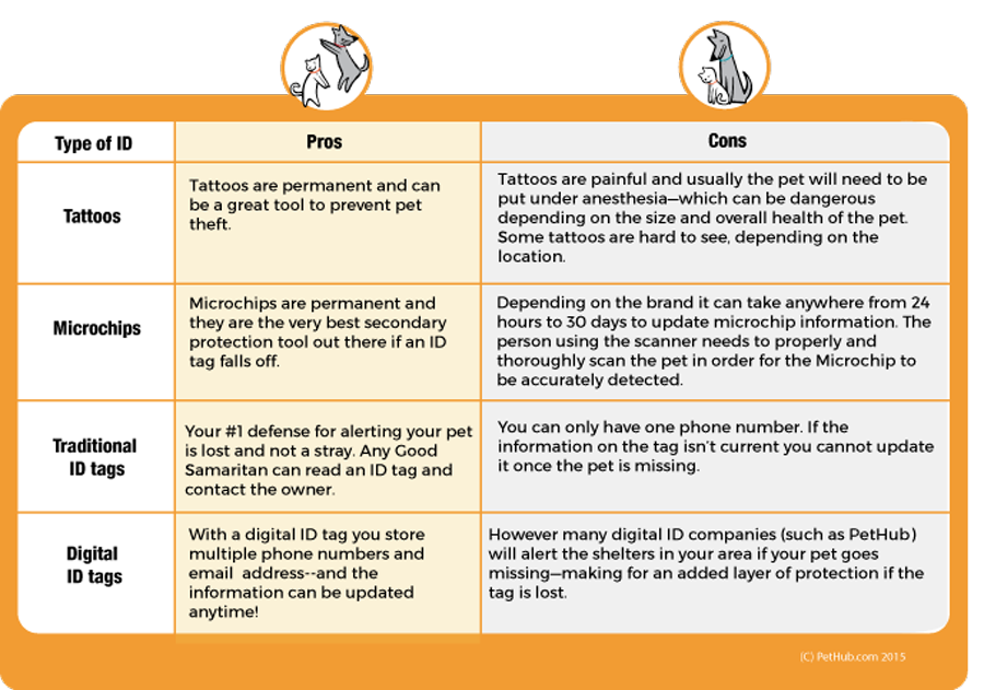 Infographic of pros and cons of different types of Identification