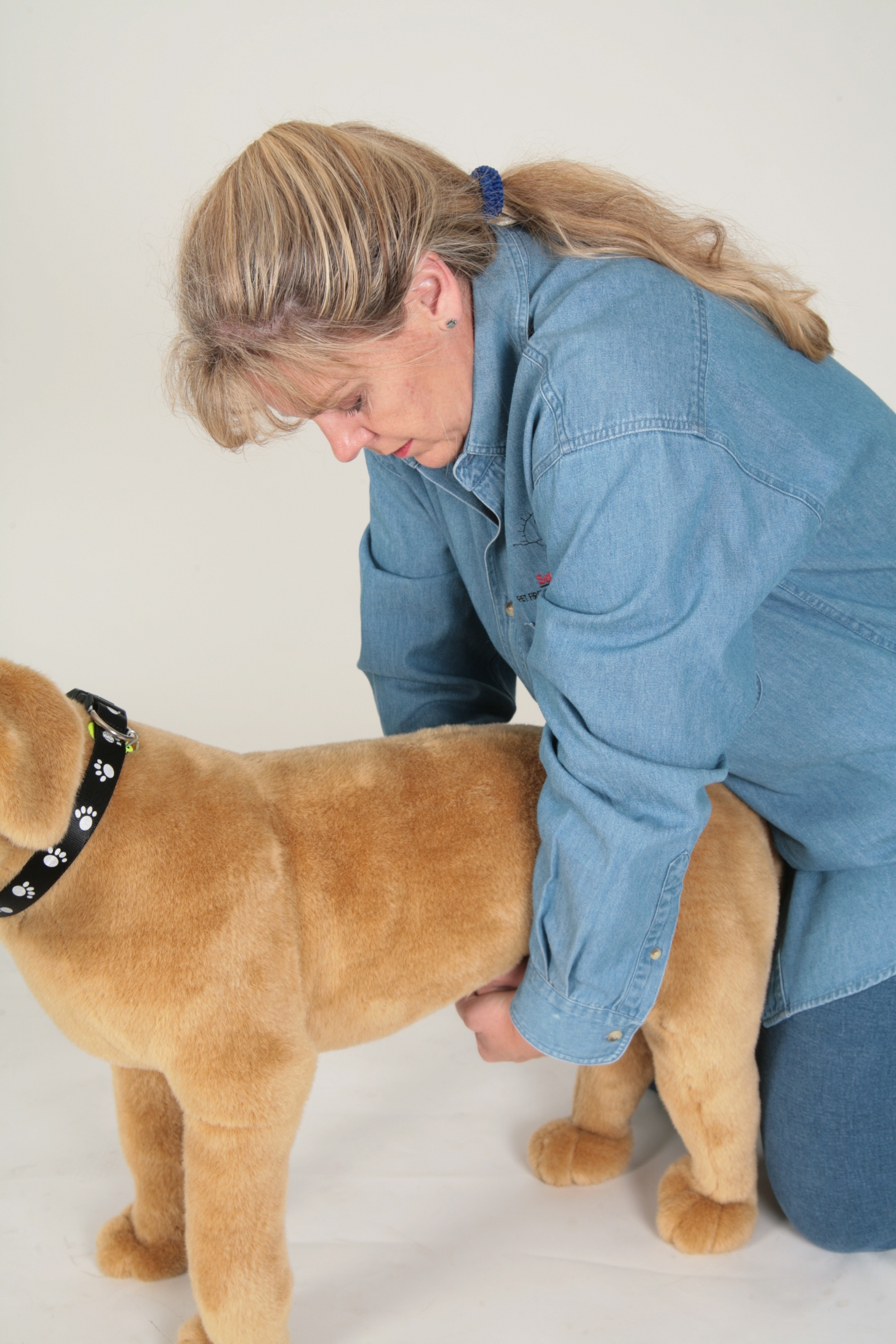 heimlich for dogs 5 ways knowing pet aid could help a lost pet pethub heimlich for dogs 5 ways knowing pet aid could help a lost pet pethub