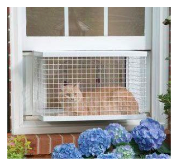 window guards for cats