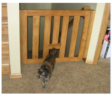 cat jumping stair gate