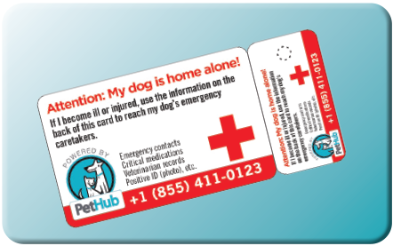 Retailer PetHub photograph relating to My Dog is Home Alone Card Printable called Store PetHub