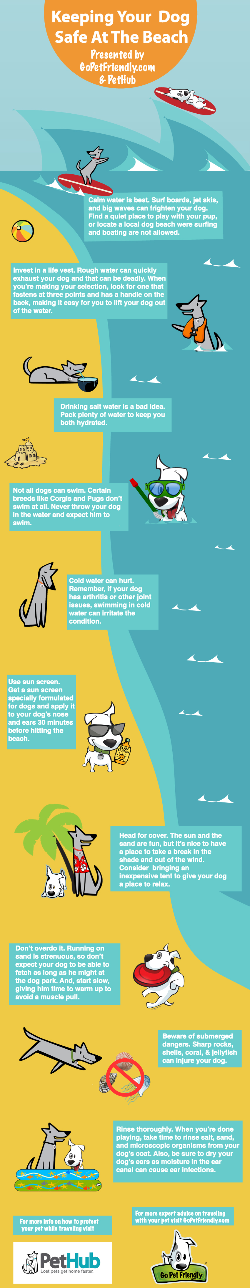 Beach Safety Infographic PetHub