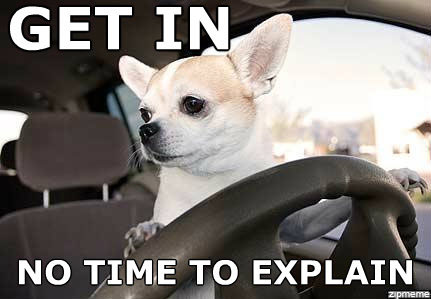 There's no time to explain. Guys i can explain. Skate bird. I get explain. I get explain.