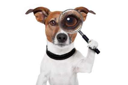 Dog holding magnifying glass up to eye