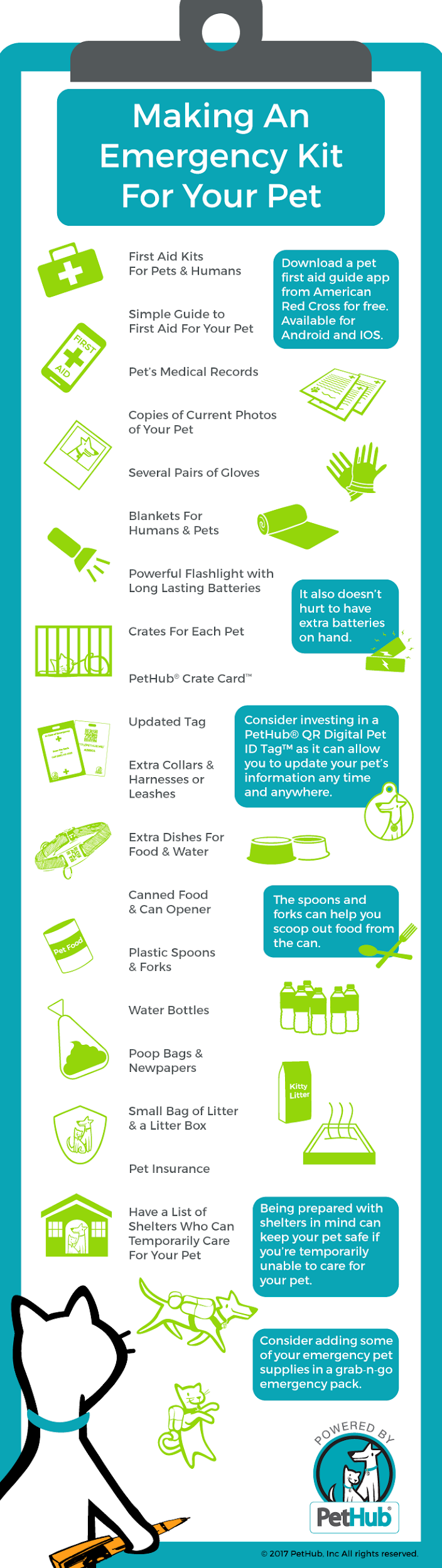 Making an emergency kit for your pet infographic