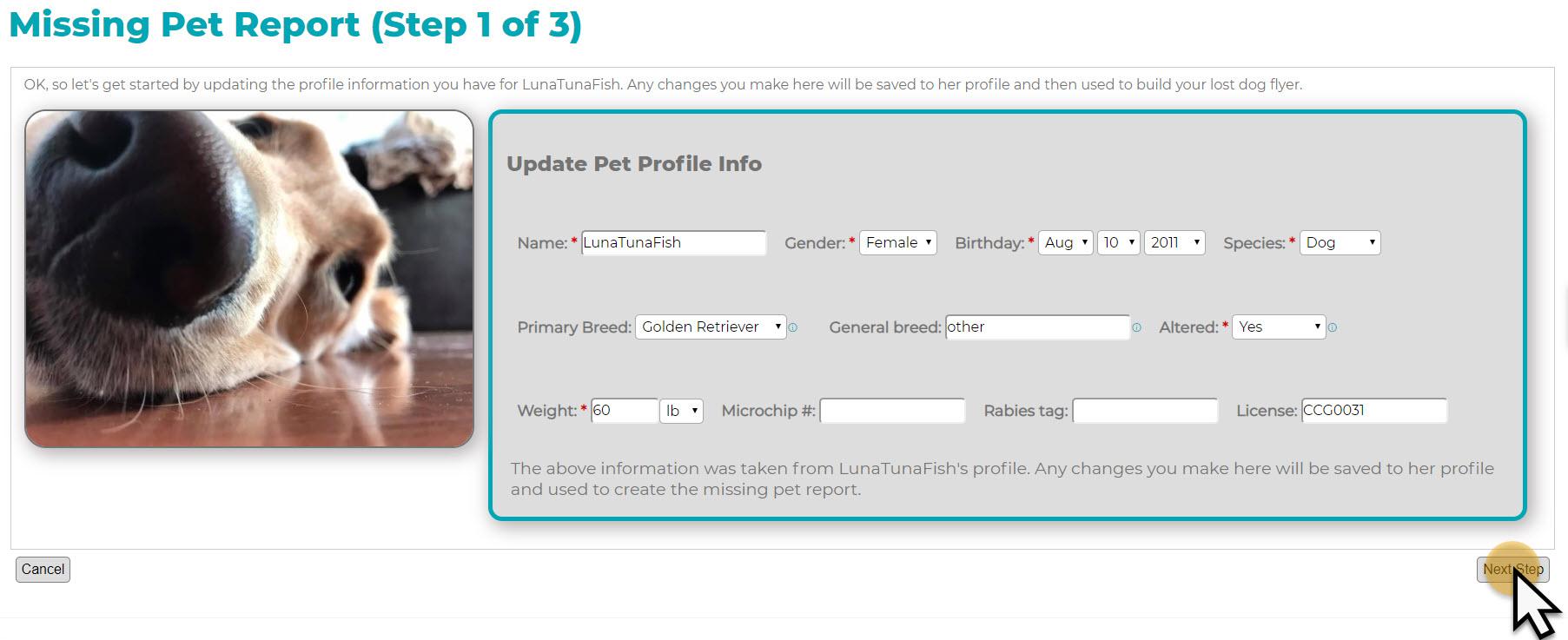 PetHub screenshot of 'missing pet report (step 1 of 3)'