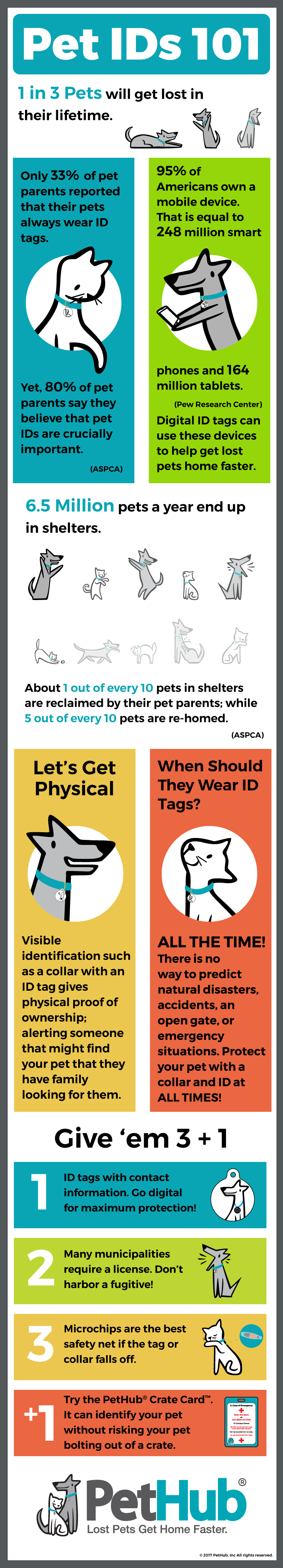 pet IDs 101 infographic