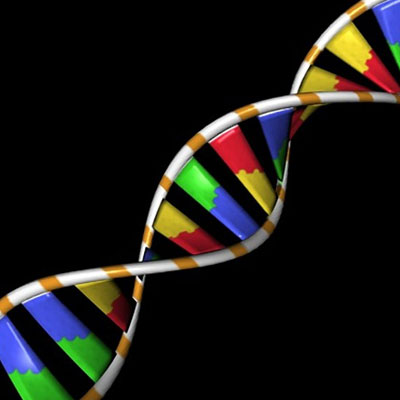 DNA strand