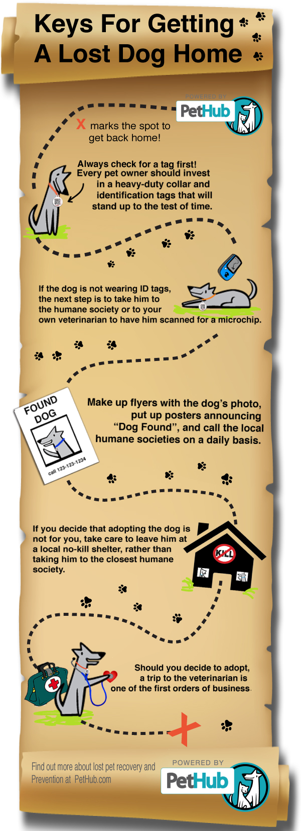 How To Get A Lost Dog To Come Home